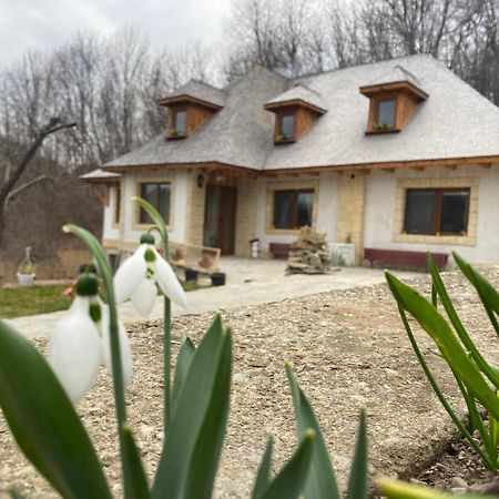 Вілла Casa Cu Sindrila Валеній-де-Мунте Екстер'єр фото