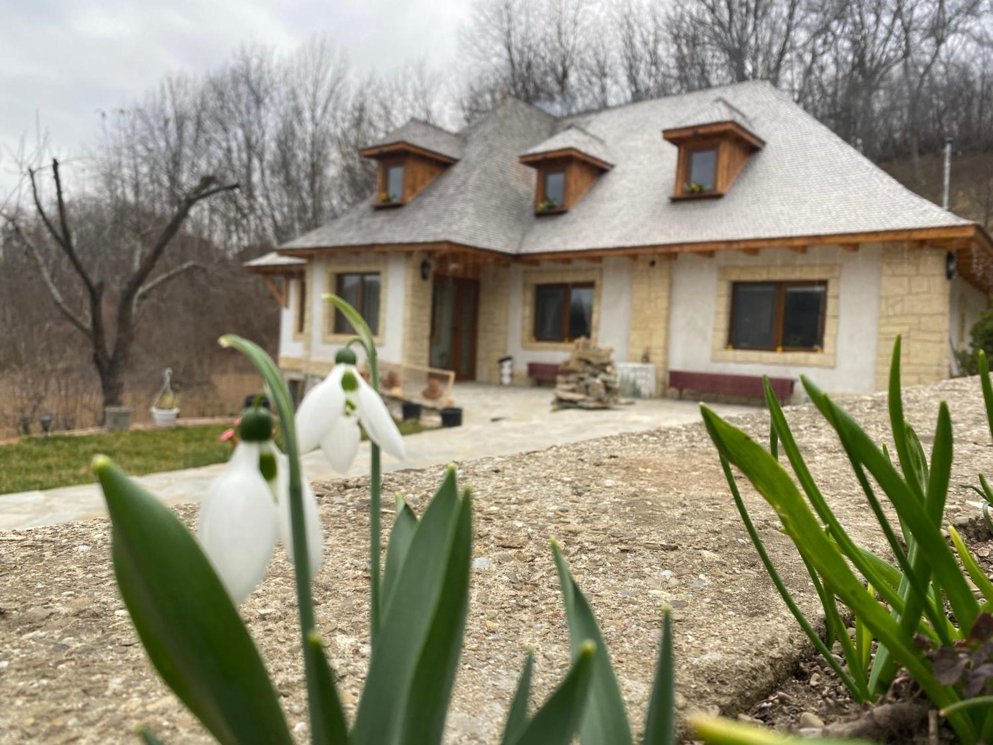 Вілла Casa Cu Sindrila Валеній-де-Мунте Екстер'єр фото