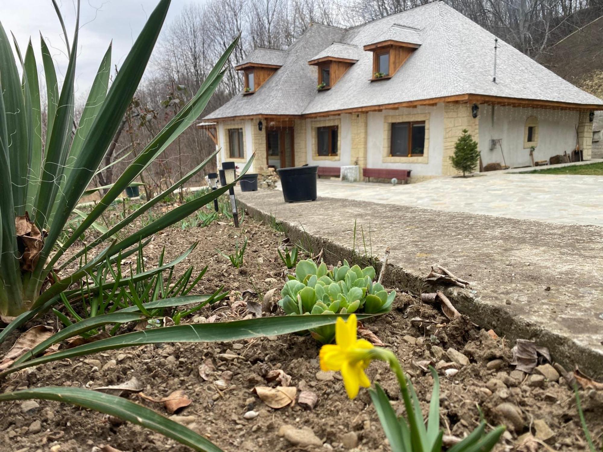 Вілла Casa Cu Sindrila Валеній-де-Мунте Екстер'єр фото