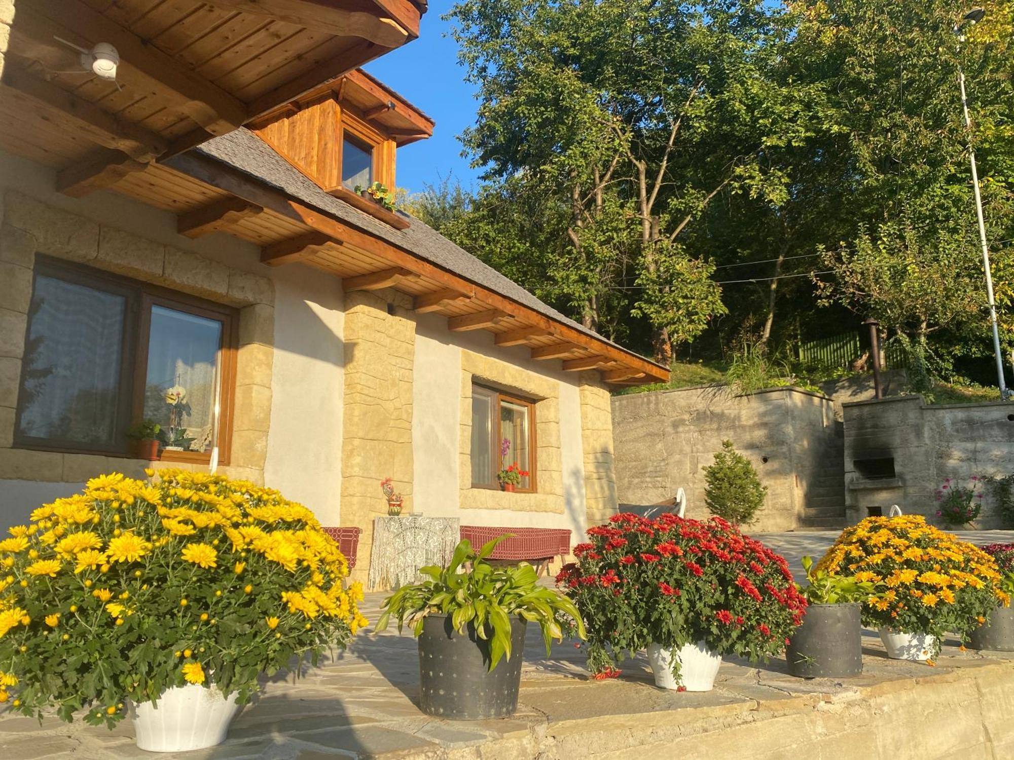 Вілла Casa Cu Sindrila Валеній-де-Мунте Екстер'єр фото