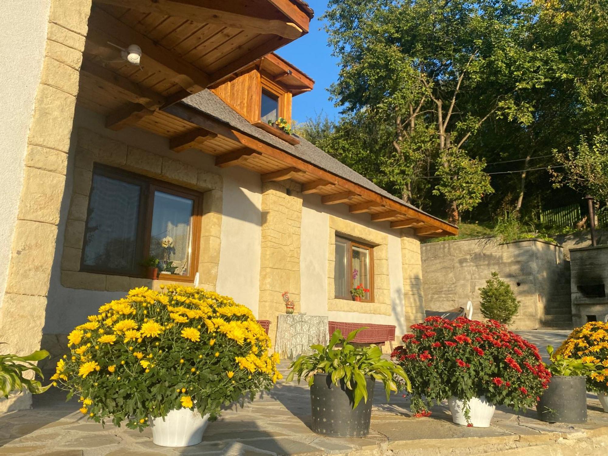 Вілла Casa Cu Sindrila Валеній-де-Мунте Екстер'єр фото